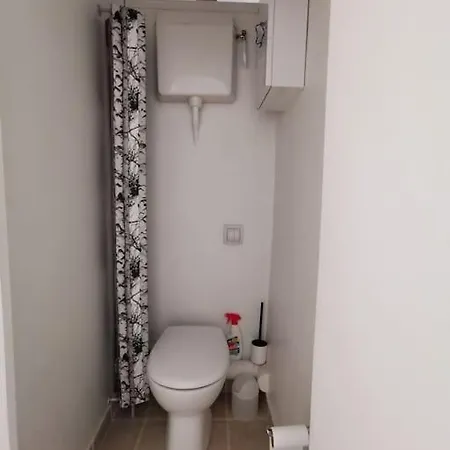 Appartement Joli Cocon Avec Terrasse Dans Le Marais *