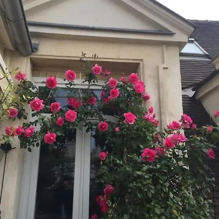 Joli Cocon Avec Terrasse Dans Le Marais Appartement *